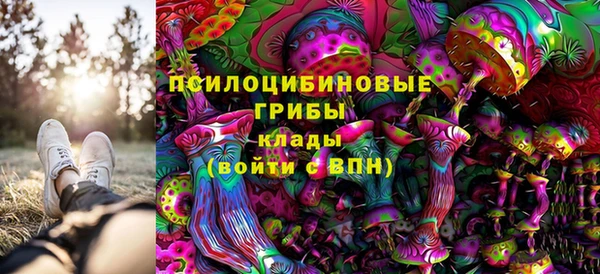 стаф Алексин