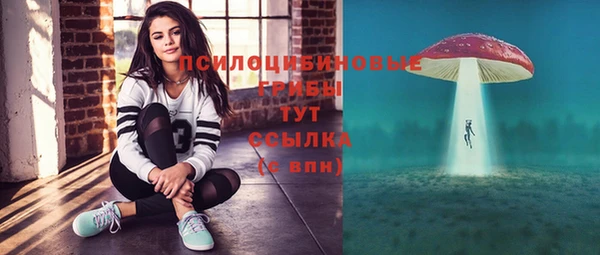стаф Алексин