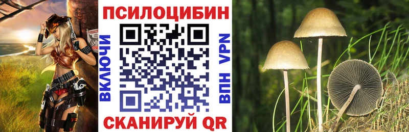 что такое Гдов Псилоцибиновые грибы ЛСД